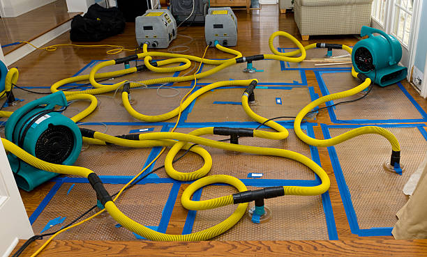 Professional Storm Water Damage Restoration technician working in Mendon, MA